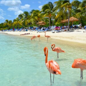 Paquetes Turísticos a Aruba 2026